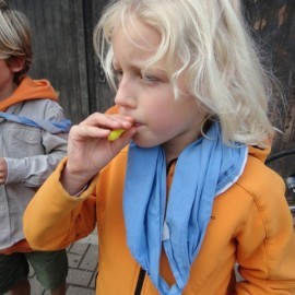 DSC02691 - Scouts en Gidsen Zaventem 